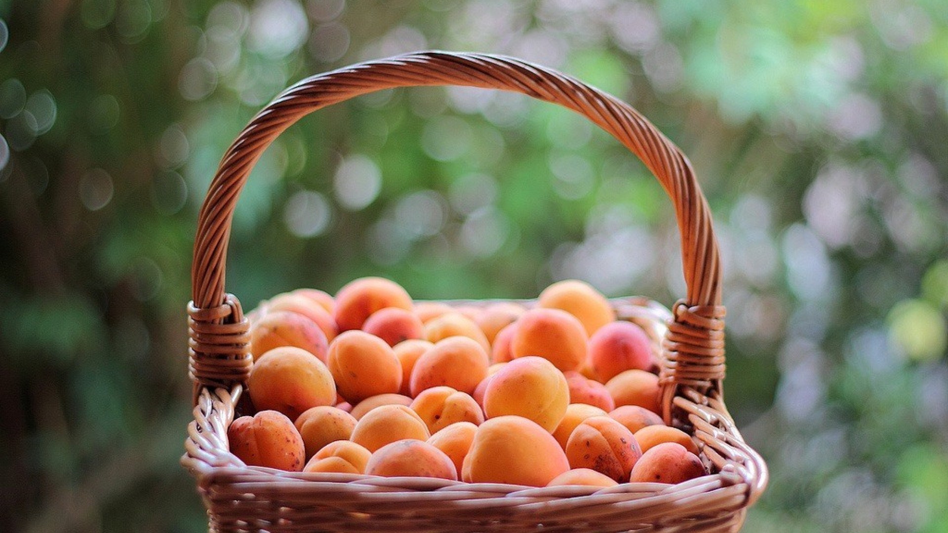 Хорошо лето плодами. Корзина с фруктами. Абрикосы в корзине. Корзина персиков. Спелый абрикос.