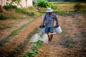 giornata mondiale alimentazione