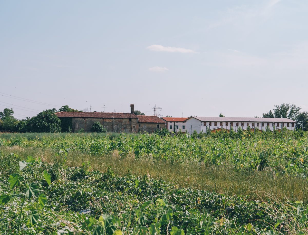Cooperativa Castel Cerreto un rifugio naturale nella Bassa Bergamasca