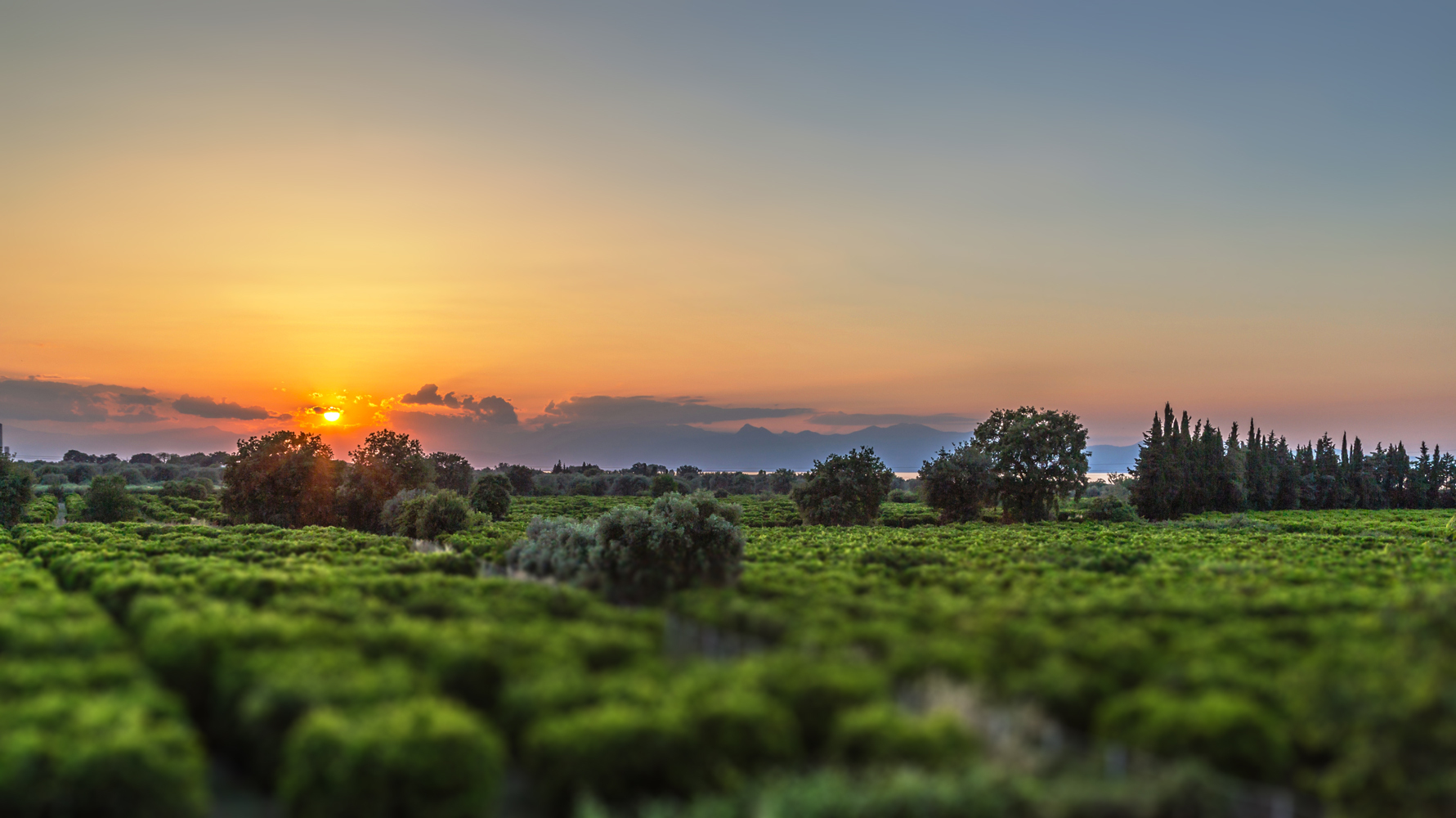 Campagna al tramonto