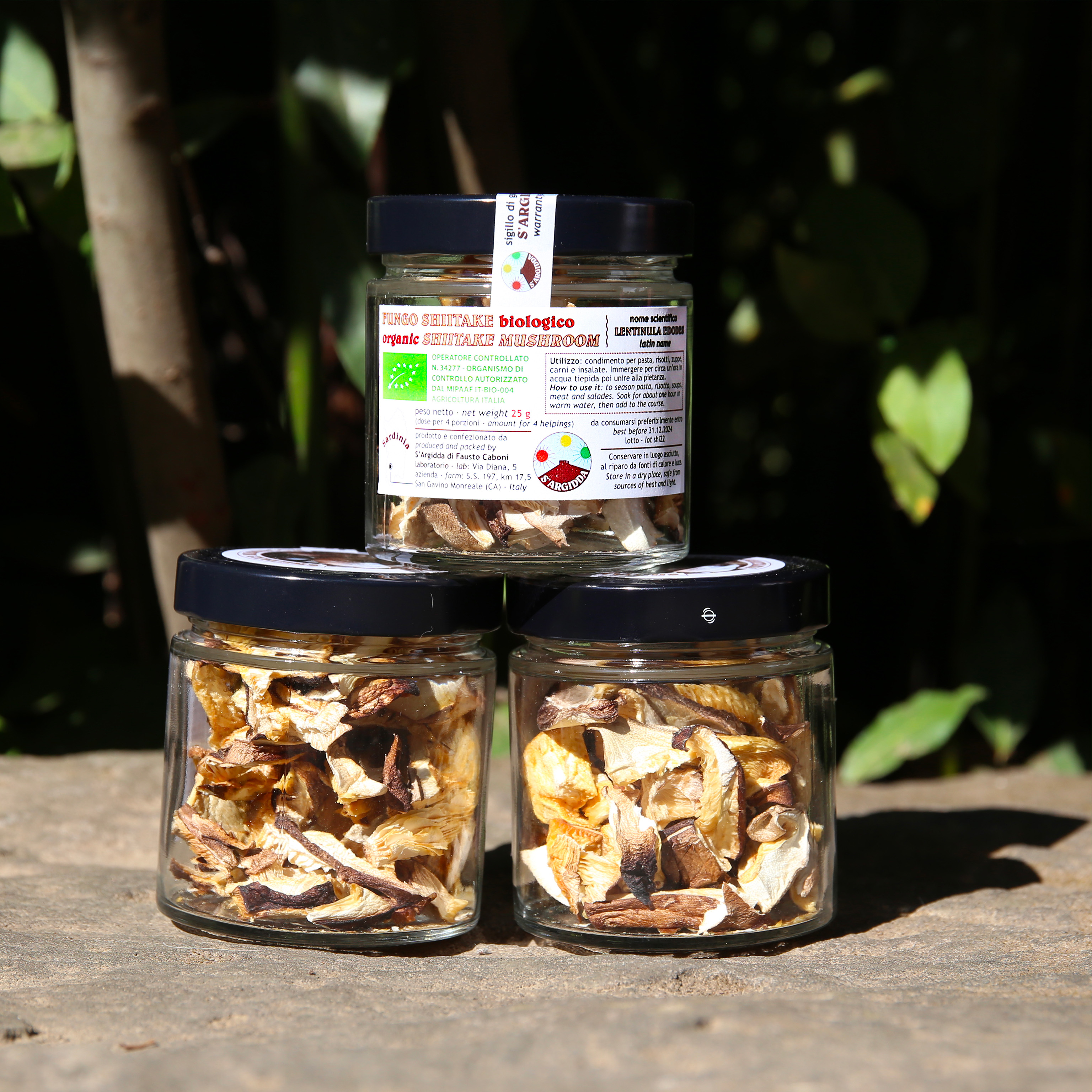 Shiitake - Vaso In Vetro Da 90 Capsule Di Estratto 8:1 Da 350mg Cad - Foto 13