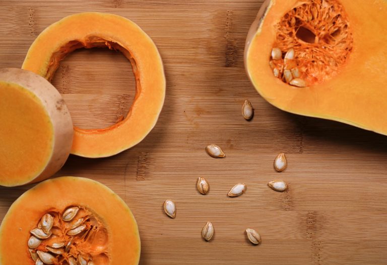 Alla scoperta di 3 varietà di Zucca Bio Delica, Violina e Butternut